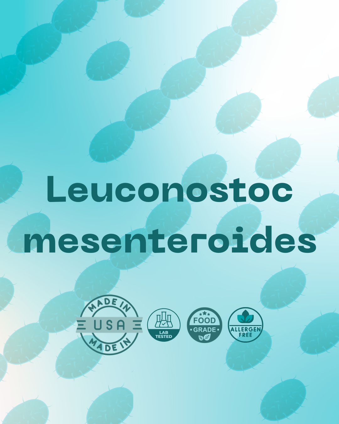 L. mesenteroides 100B