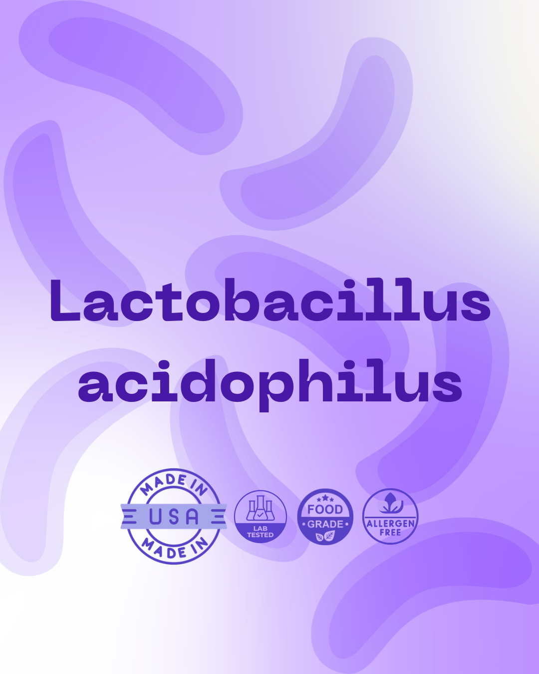 L. acidophilus 100B
