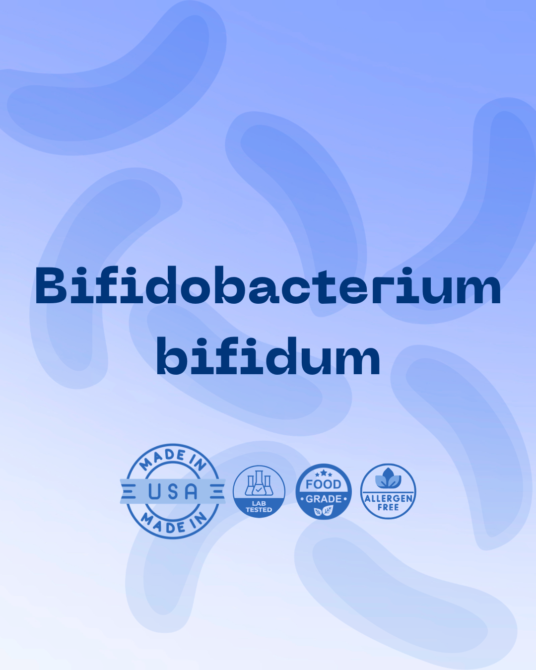 B. bifidum 100B