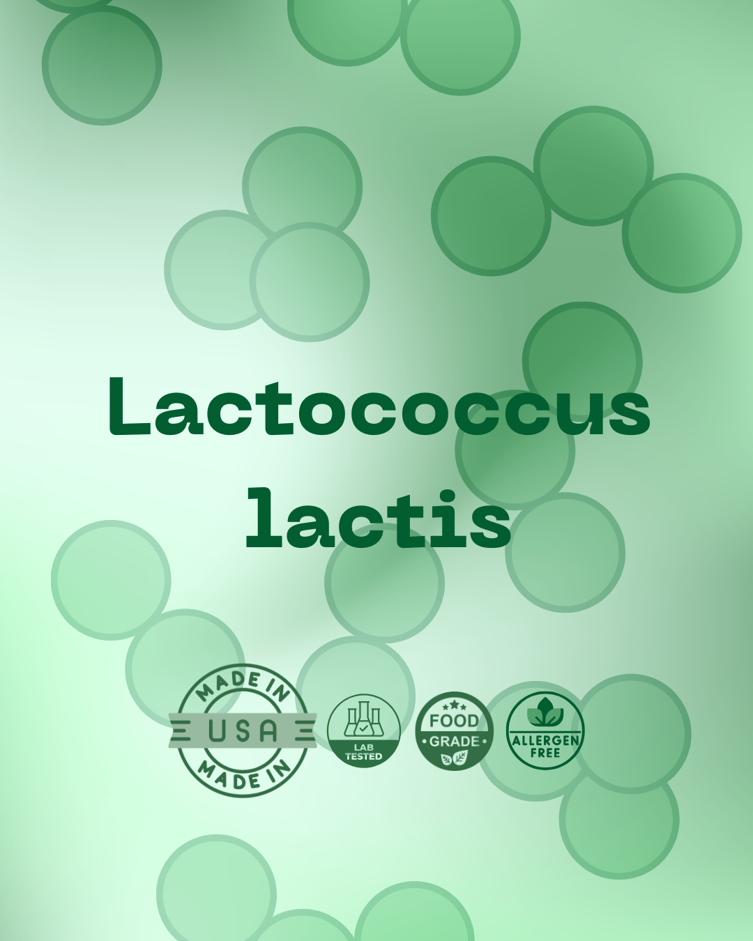 L. lactis 100B