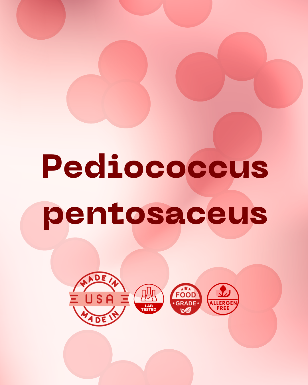P. pentosaceus 100B
