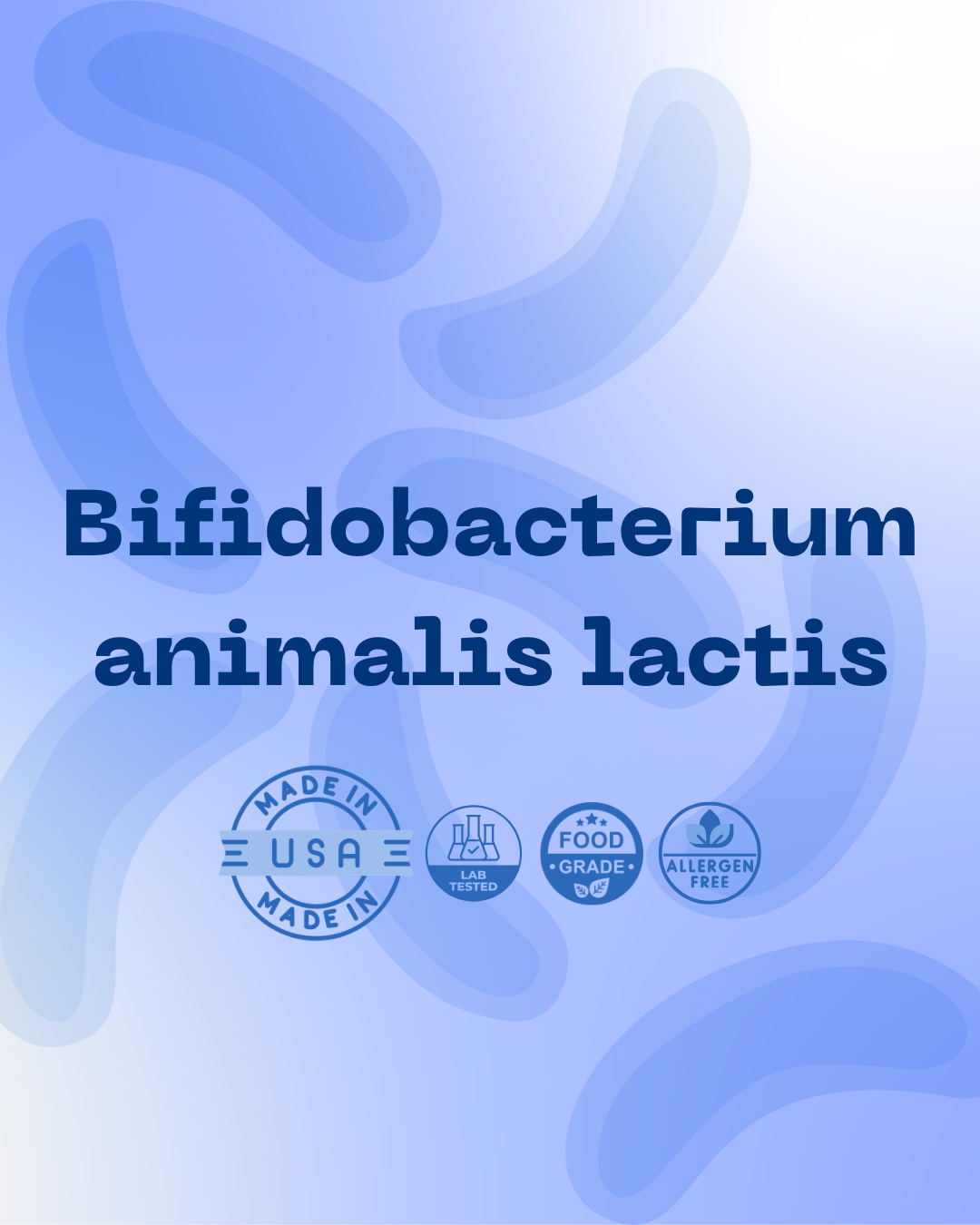 B. animalis subsp. lactis 100B